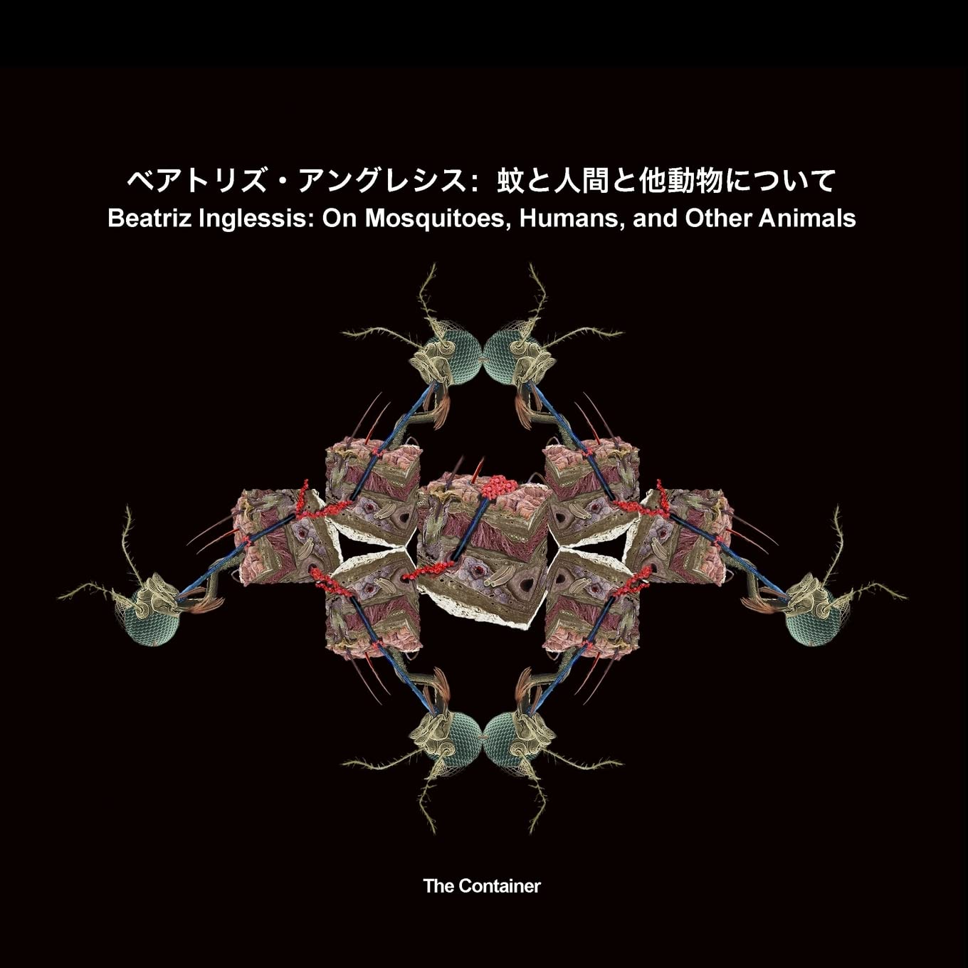 Beatriz Inglessis: On Mosquitoes, Humans, and Other Animals: A discou Paperback – 3 January 2013