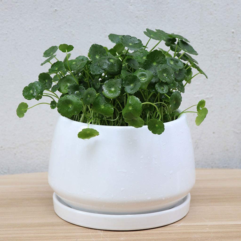 Dekoracyjne doniczki na kwiaty biała ceramiczna doniczka na kwiaty na zewnątrz dziedziniec ogród dom stolik do kawy biuro dekoracja doniczka z otworem doniczka 15 cm ogród doniczka