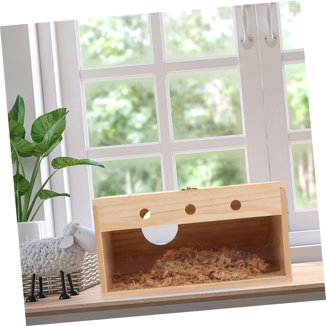 Cockatiel Nistkasten Aus Holz Transparente Vogelzuchtbox Für Kleine Vögel Wetterfestes Vogelhaus Für Sittiche Und Lovebirds Langlebiger Nistplatz Für Zucht Und Brutpflege