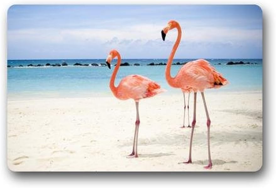 homelover(TM) Popular Non Slip Rectangle Doormat Pink Flamingos On The Beach Pattern Home Indoor/Outdoor Floor Mat Doormats Home Floor Mats Rugs 23.6 X 15.7 Inches