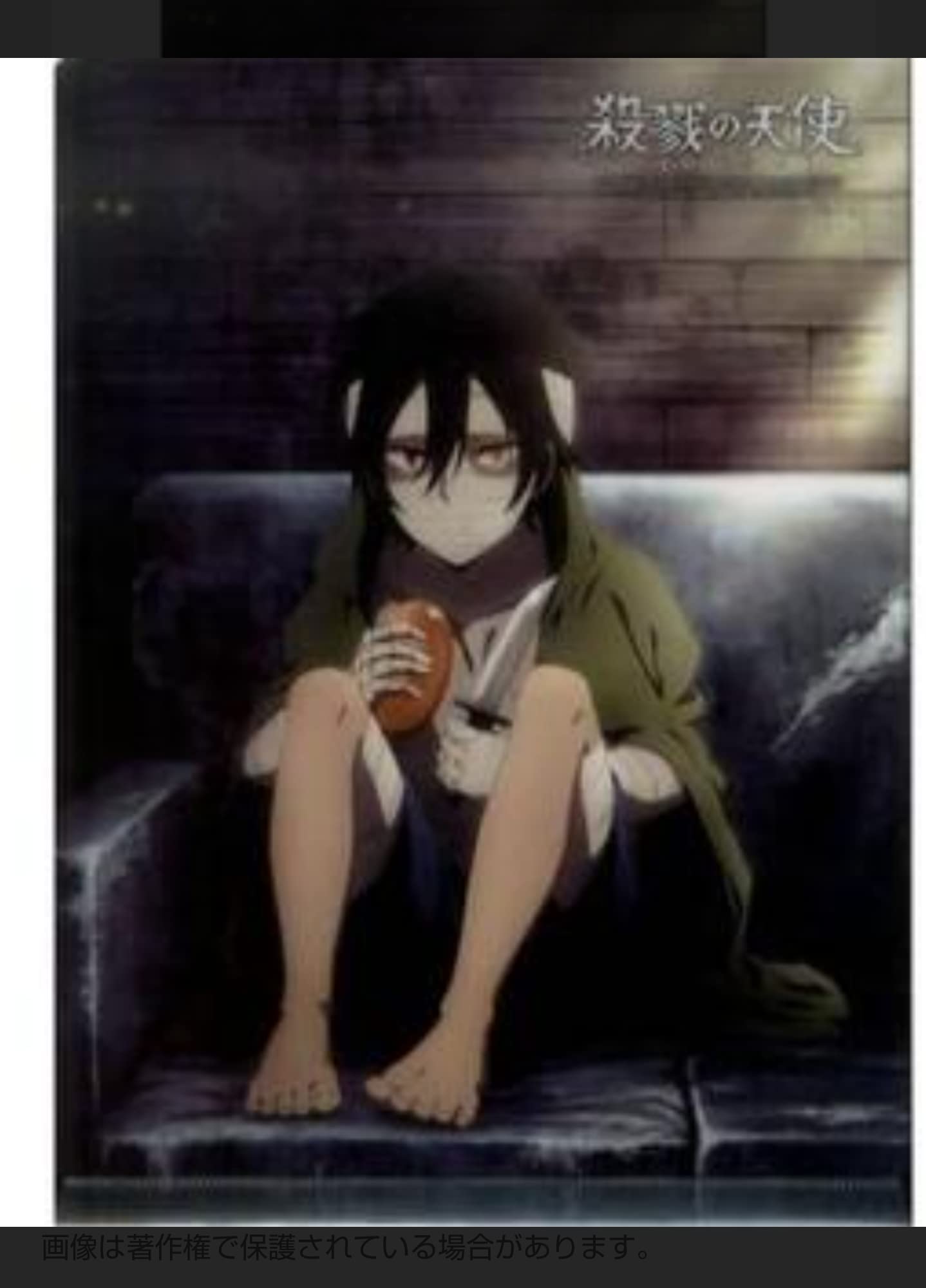 Amazon.co.jp: 殺戮の天使 付録 A4クリアファイル レイチェル・ザック