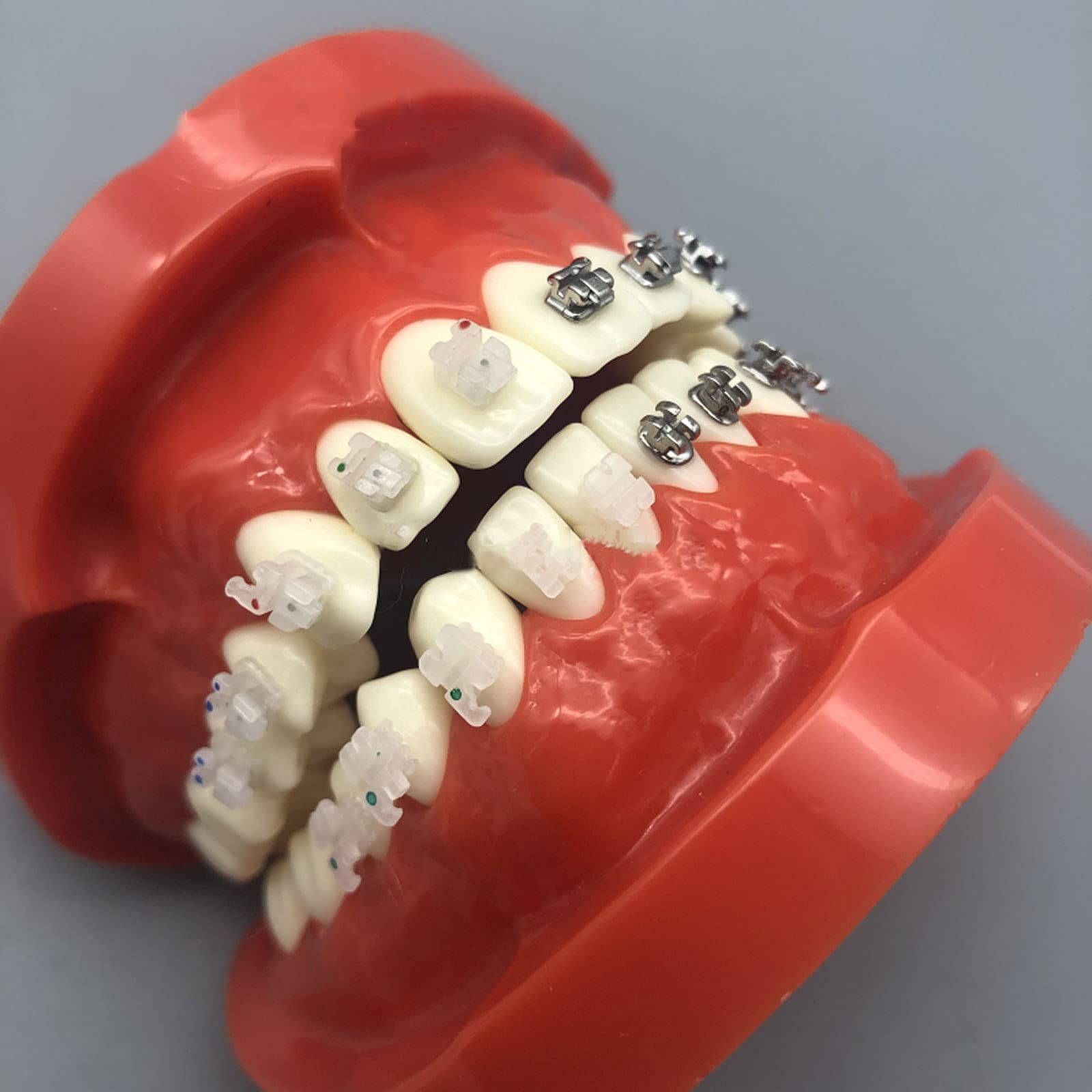 Modelo de Dientes de Implantes Dentales, Modelo de Dientes Dentales, Cuatro Modelos de Comparación de Soportes, Duraderos Adecuado para Intercambios de Demostración Entre Médicos y Pacientes.