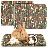 Drydiet 2 Pcs 16 x 12''Rabbit Scratch Mat Natural Bunny Scratching Pad Claws and Teeth Care Rabbit Mats for Cages Chew Toys Bunny Pet Cage Bedding for Biting Sleeping Nesting