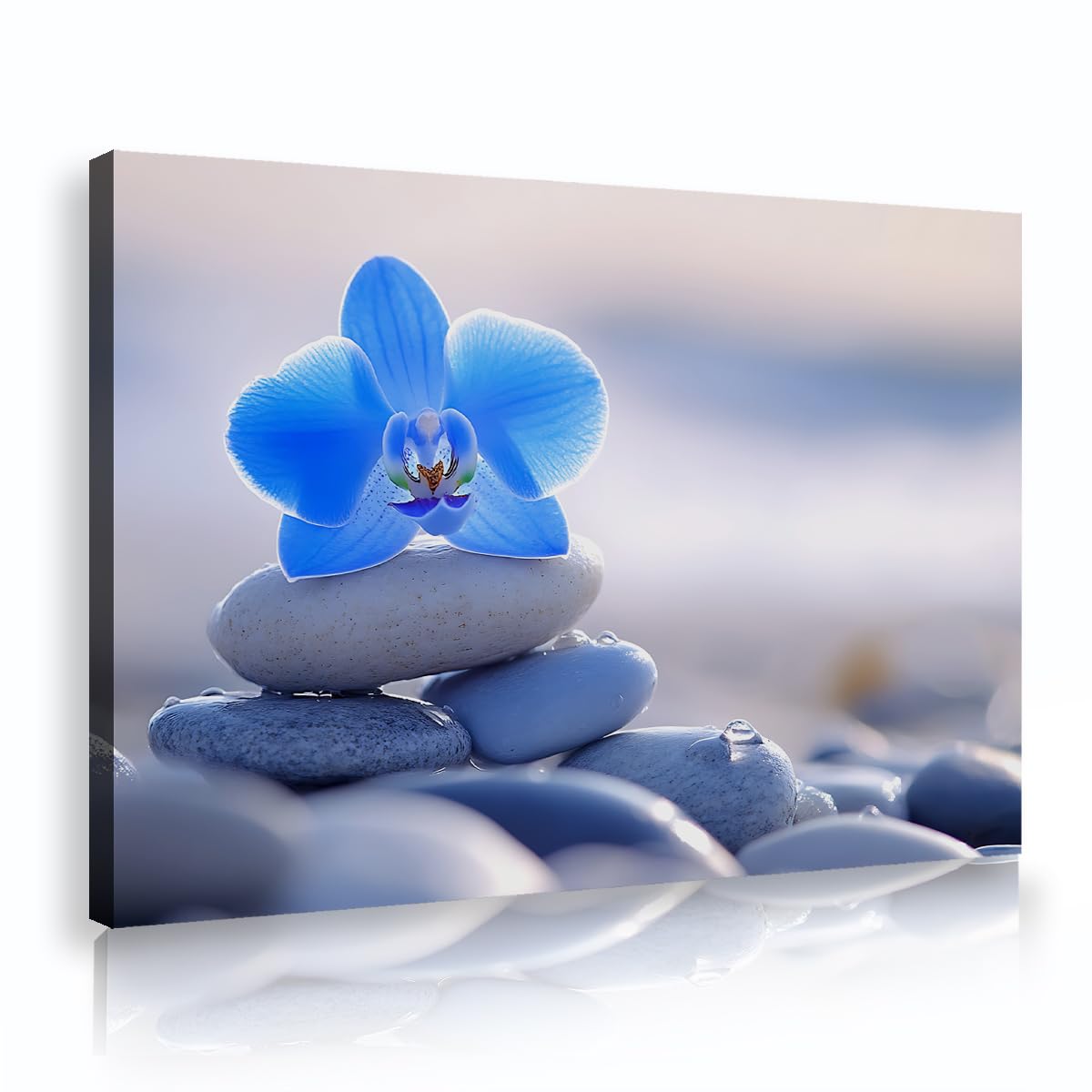 Via Vela Modern Minimalist Zen Framed Canvas Art, Blue Orchid White Stones Picture, Water Drops Landscape Painting, Spa Bathroom Wall Decor Poster Prints 70x110cm