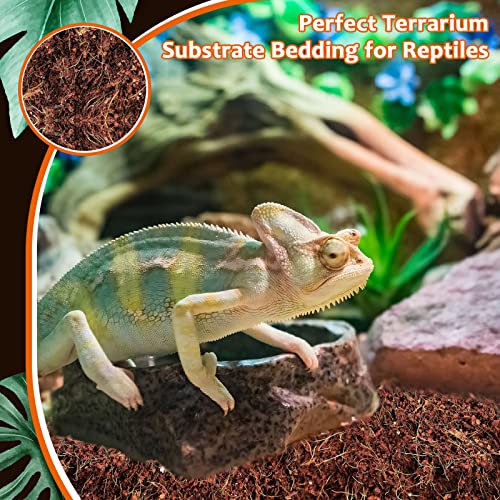 Riare SAMPLE_SKU_17075 2 Pack Natural Coconut Fiber Substrate thumb #6