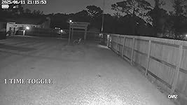 Review Image by Hank Hank