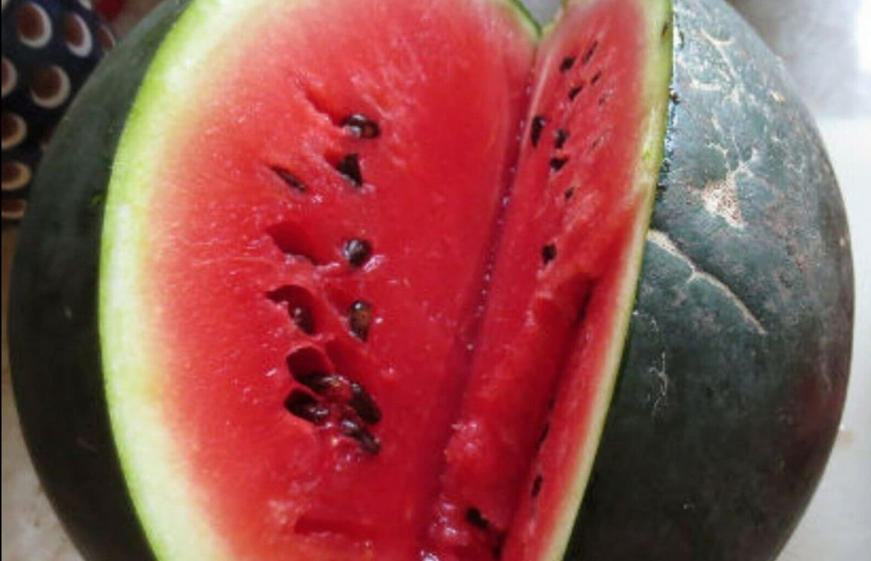 80 seeds of Fruit Watermelon Sugar Baby Citrullus Lanatus Edible