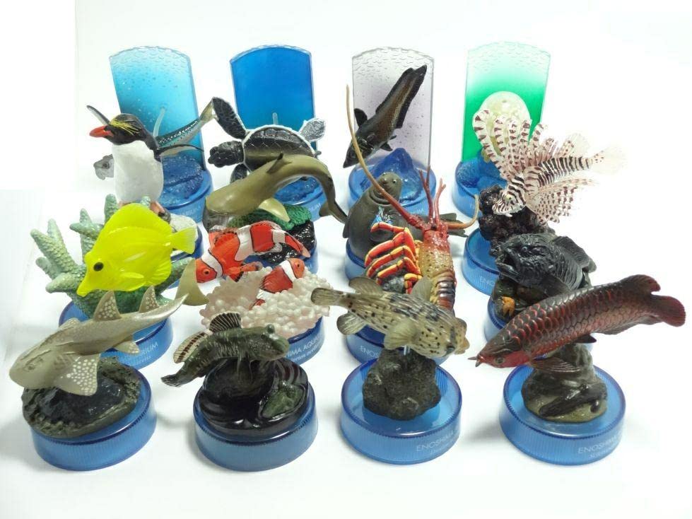 ツマグロ 新江ノ島水族館への誘い Amazon.co.jp: 海洋堂 新江ノ島水族館への誘い 第1弾 ツマグロ : Toys