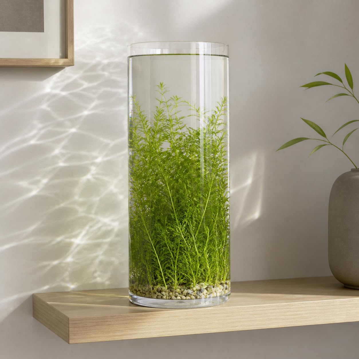 Aquarium en Verre Cylindrique Vertical Robuste Anti-Fuite Haute Transparence Nettoyage Simple Moderne Adapté au Bureau Salon Appartements Compacts, Diamètre 20 cm, Hauteur 70 cm