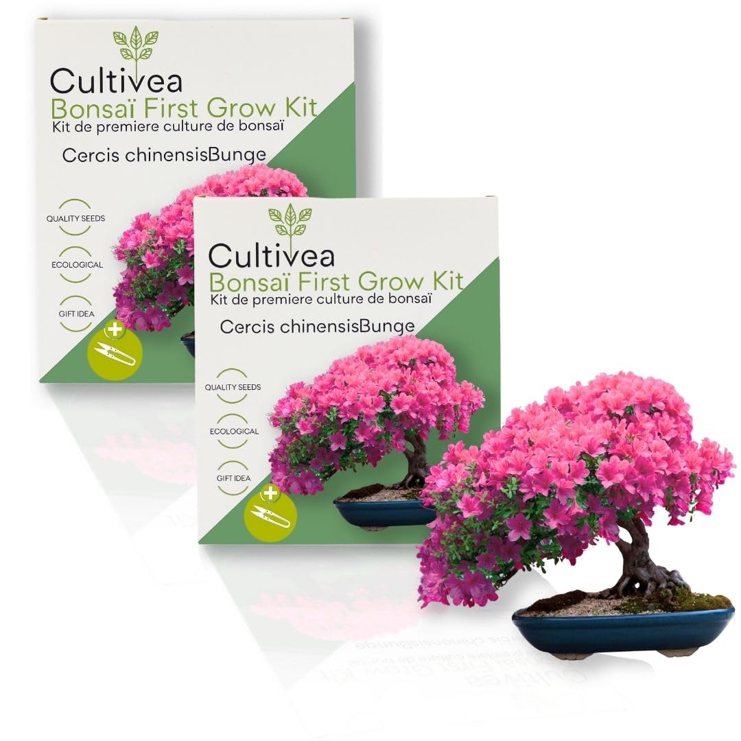 CULTIVEA® Kit First Bonsai - Kit de première culture de Bonsaï - Prêt à Pousser avec Graines & Accessoires - Made In France (Cercis Chinensis)