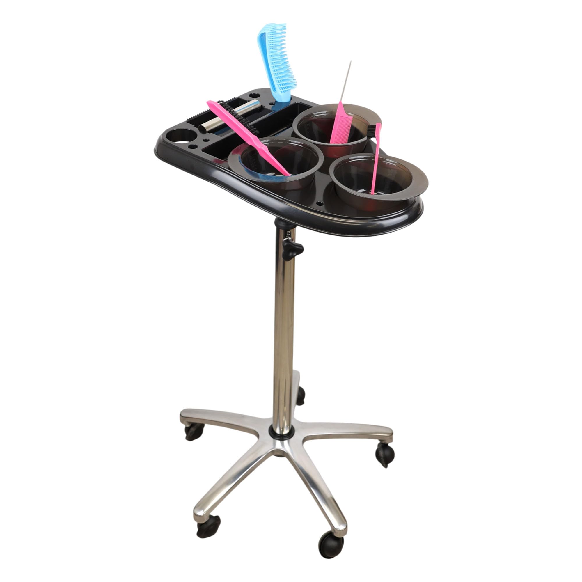 Eson Beauty Trolley on Wheels with Tray, Hairdressing Trolley, Salon Organizer, Professional Use for Beauty Salon SPA Hairdresser Tattoo Service Station (Tool Holder)