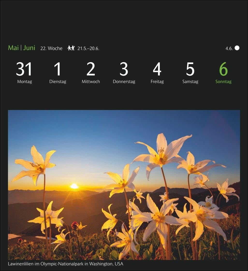 GEO Magische Natur Postkartenkalender 2027 - Wochenkalender mit 53 Postkarten: Foto-Kalender im Postkartenformat 16 x 17,5 cm mit wunderschönen ... mit 53 Postkarten zum Sammeln und Verschicken