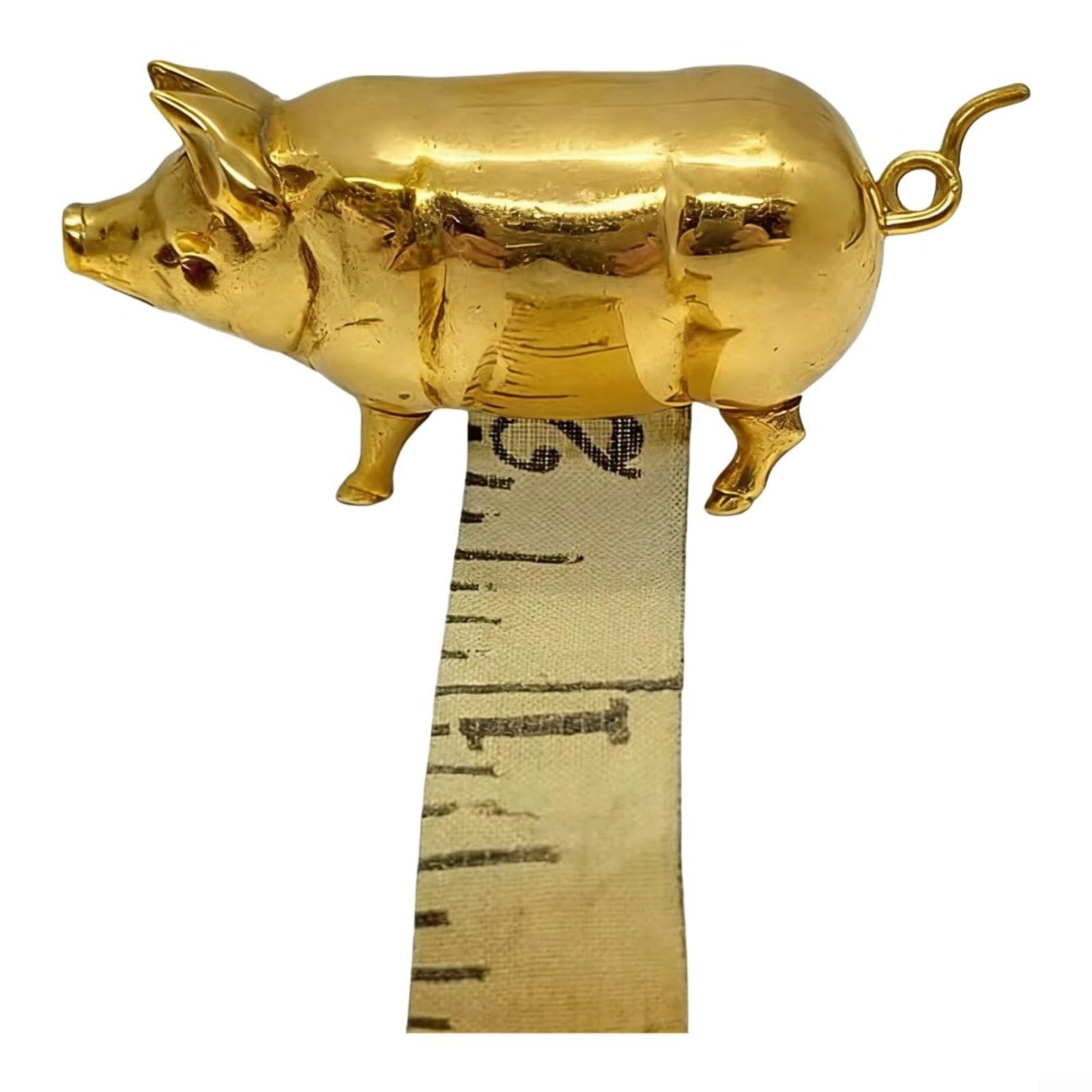 Evenoonest Pig for mini Tape Measure, Nickel-Plated Metal Retractable Ruler