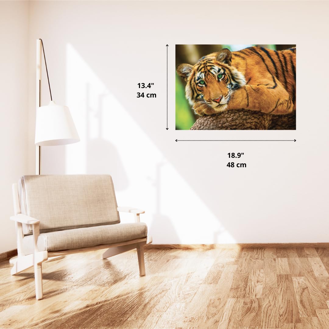 Trefl 1500 Piece Tiger Jigsaw Puzzle - 33x23 Inch Portrait Puzzle For Adults & Teens