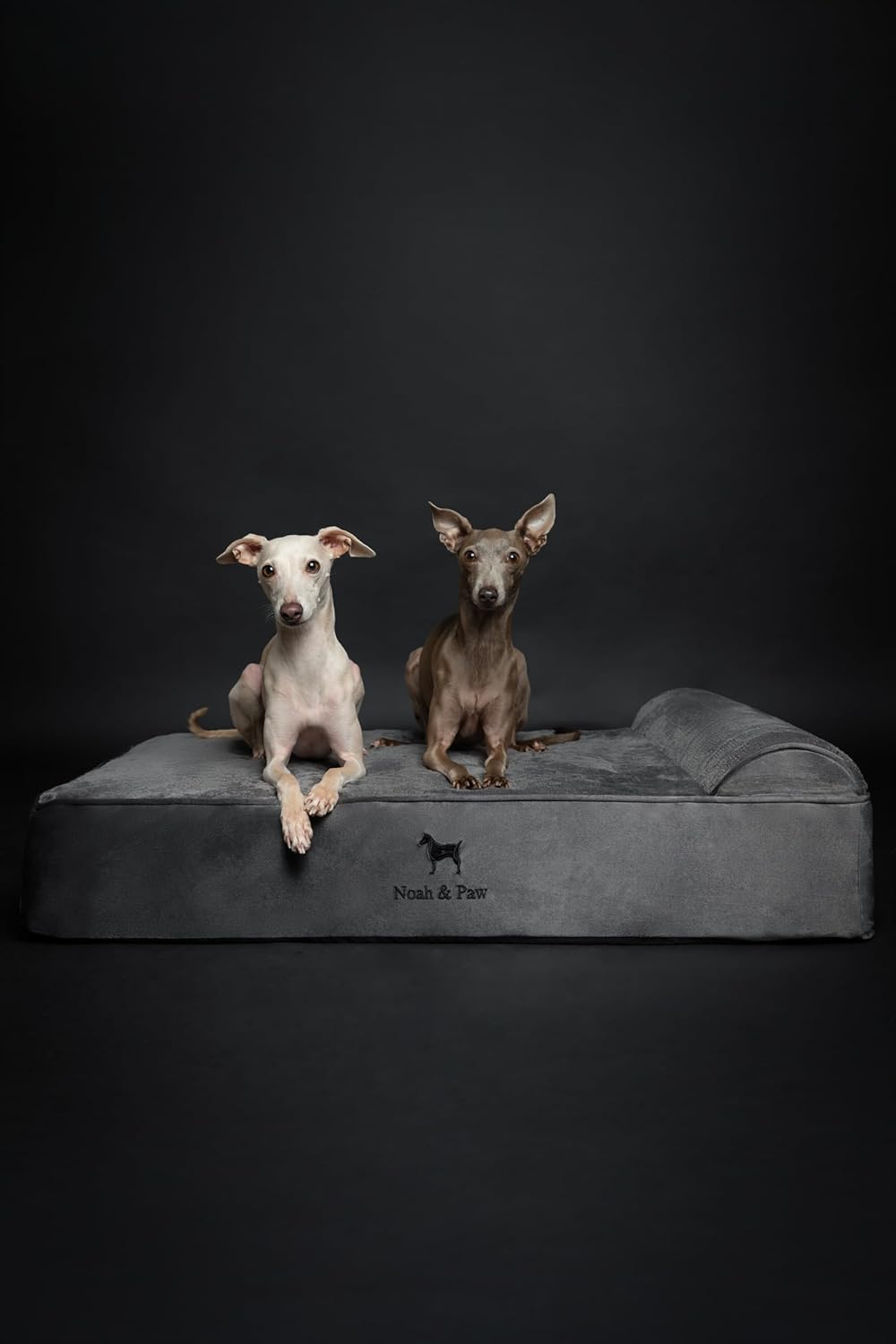 Ultimate Comfort: NOAH & PAW Orthopedic Dog Bed Review