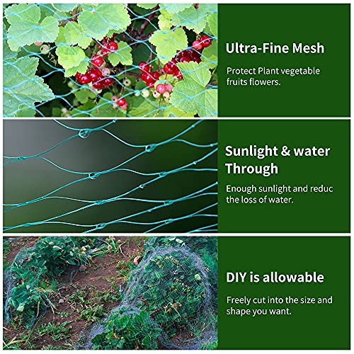 Gsinodrs Bird Netting For Garden 13Ft X 33Ft Garden Netting Pest Barrier Protect Fruit Plant Trees Vegetables Against Birds, Deers, Squirrels, Cicadas - Woven Mesh Cover With 100Pcs Cable Ties (Green) #TOP1