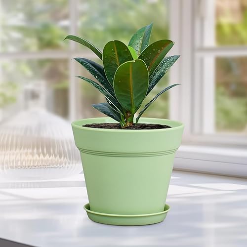 Miniatura 6 de Macetas de plástico de 6 pulgadas, paquete de 16 macetas para plantas de interior y exterior, macetas con agujeros de drenaje y platillos, macetas