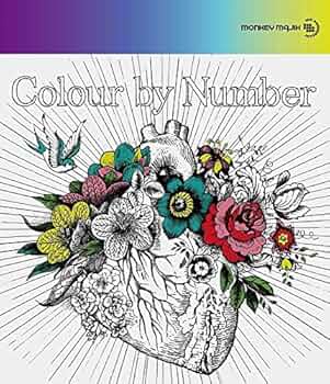 Monkey Majik - Colour By Number (CD+BD) [Japan CD] AVCH