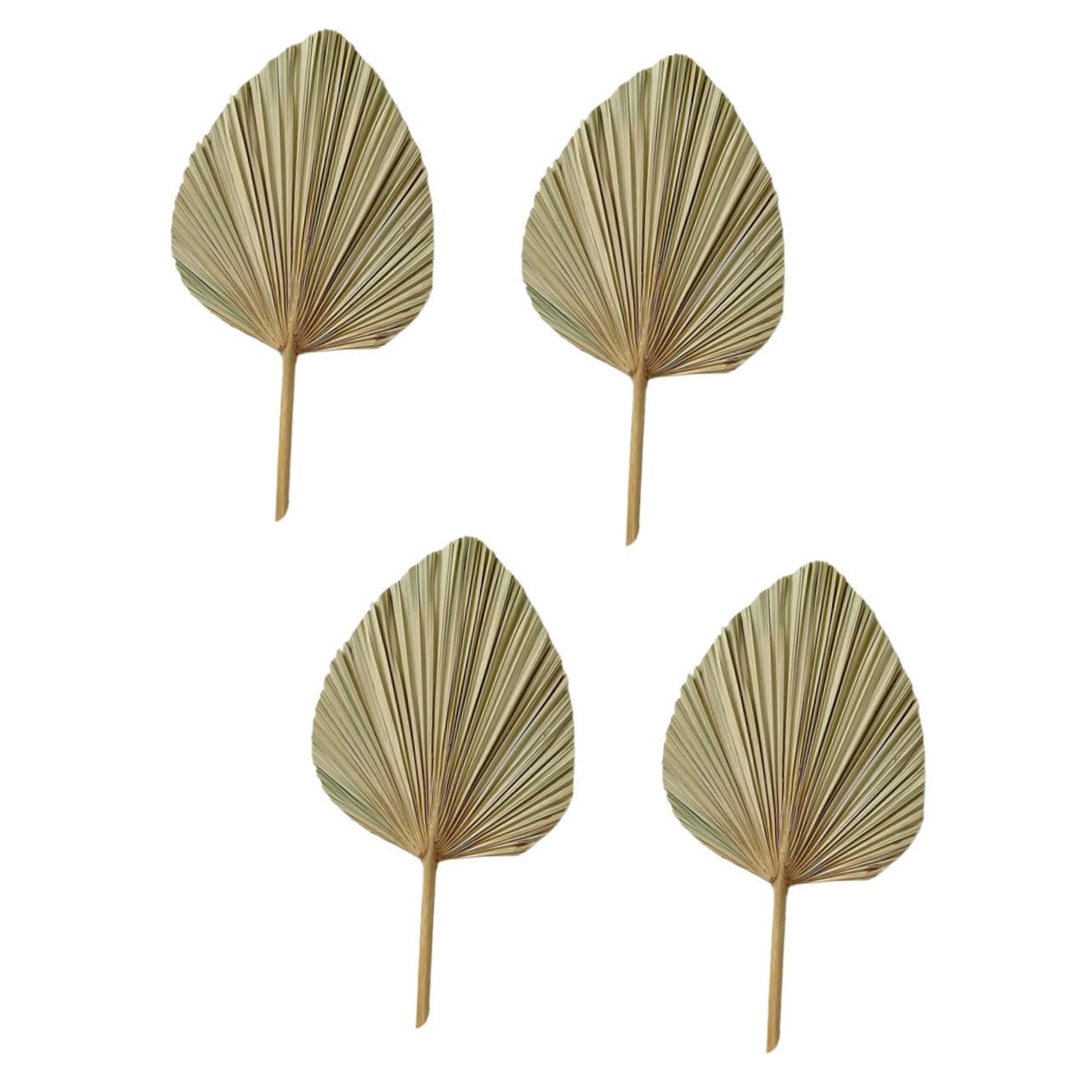 Cabilock 8 Piezas De Decoración De Hojas De Palma Abanicos De Palma Seca Accesorios para Fotos De Hojas De Palma Lanzas De Palma Secas Bohemias Decoración Boho Suministros para