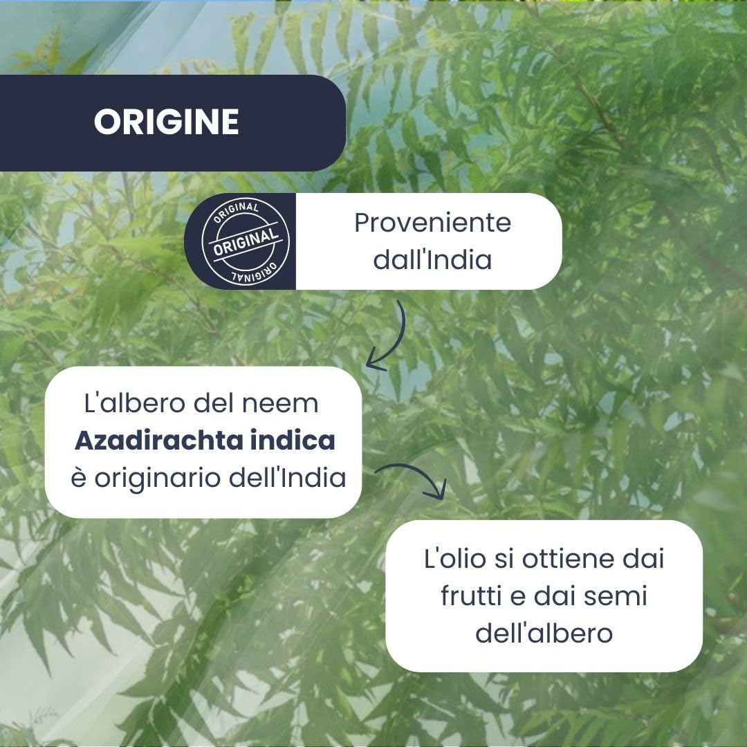 PLANTAWA Olio di Neem 2L | Massima Concentrazione | Spremuto a Freddo, Naturale e Non Raffinato | Alta Qualità ed Efficienza | Materia Prima Multiuso per Interni ed Esterni | Facile Applicazione