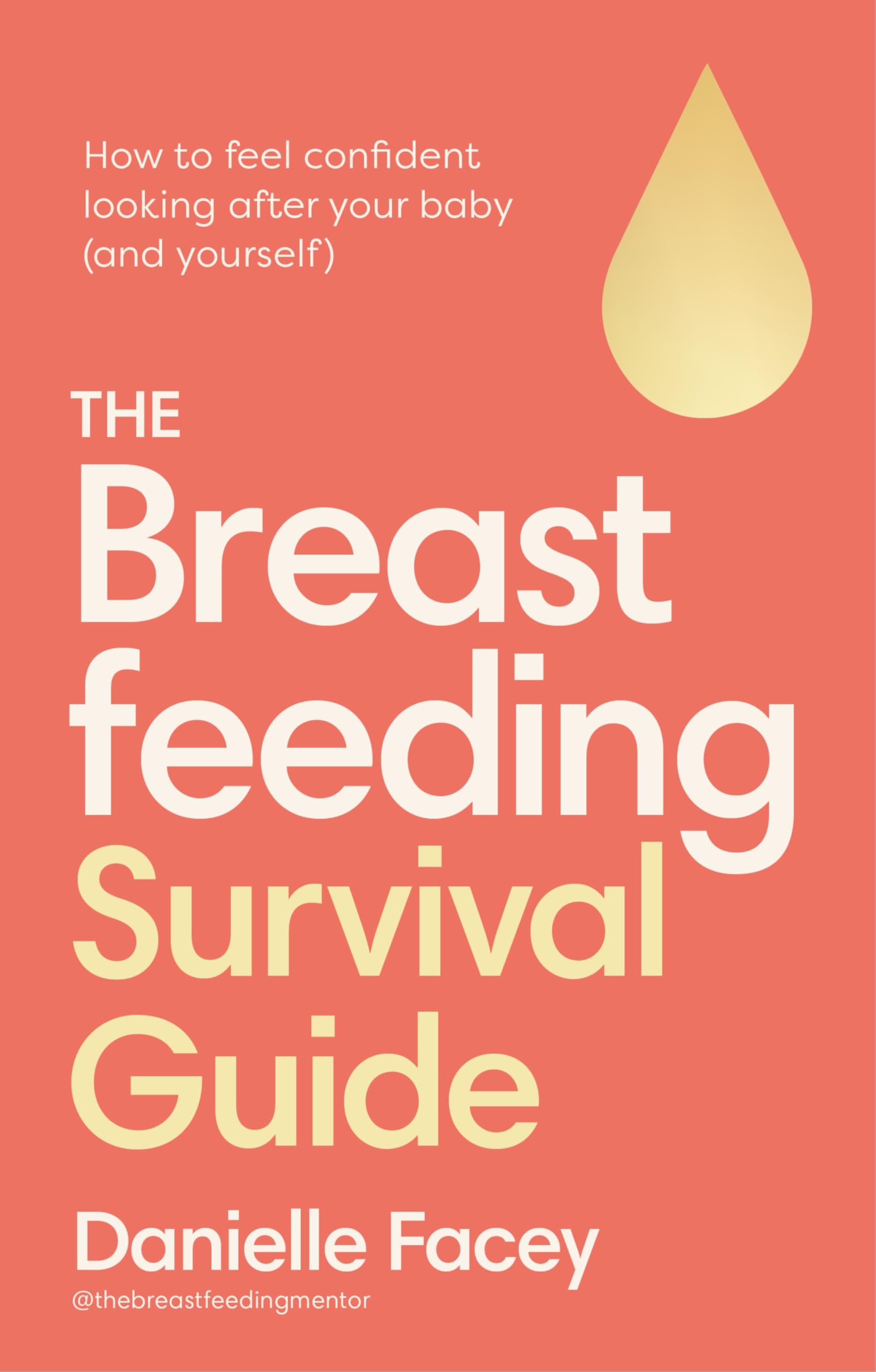 The Breastfeeding Survival Guide by Danielle Facey PAPERBACK 9781785045639