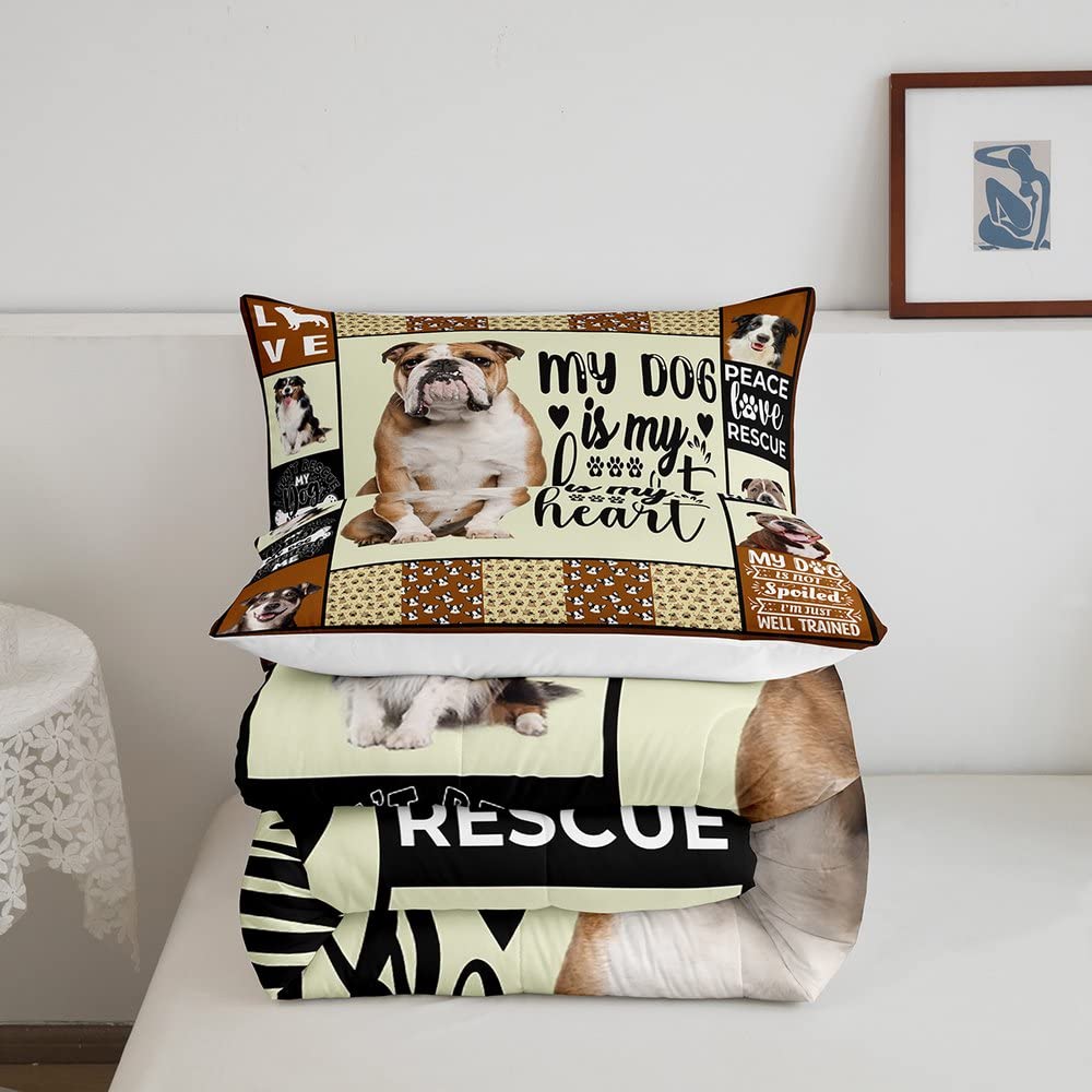 Set di biancheria da letto per bambini con bulldog carino per bambini kawaii cani piumino piumone/trapunta per amanti del cane griglia per tutte le stagioni trapunta king