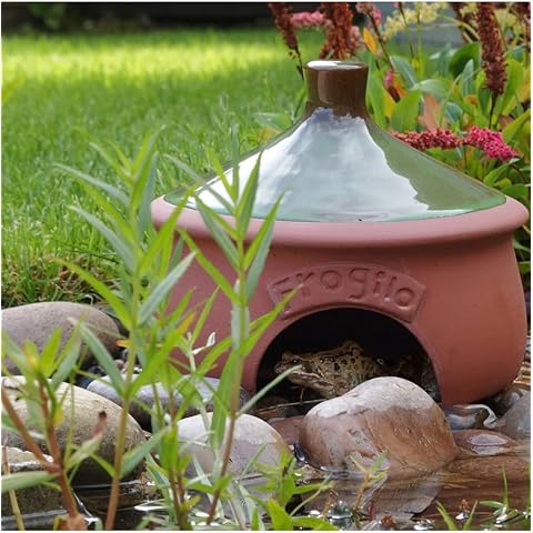 Wildlife World Cf/TH2 Ceramic Frog & Toad House, 20cm x 20cm x 20cm CFTH2 Cover
