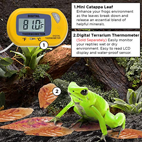 Sungrow 50 Pack Dwarf, African, Aquatic Frog Leaf Litter, Mini Catappa Indian Almond Leaves Food Source For Microfauna Habitat, Tank, Terrarium, Leaf Provide Shelter, Maintains Humidity & Substrate Ph #TOP5