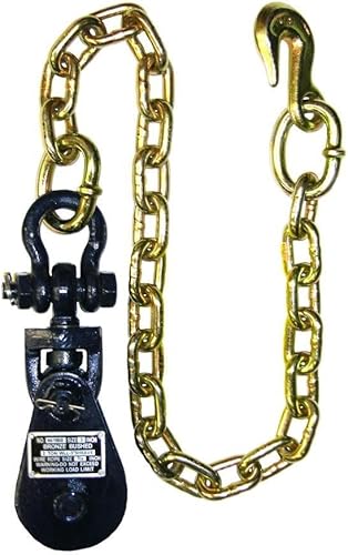 BA Products 6I-2TSW30 Pasteca con cadena de 2 Toneladas.