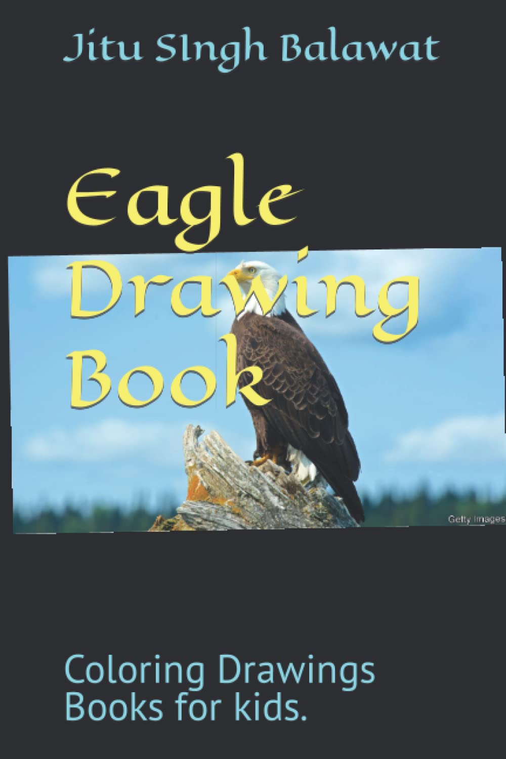 Eagle Drawing Book: Coloring Drawings Books for kids.