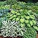 Hosta Plants (Bare-Root)
