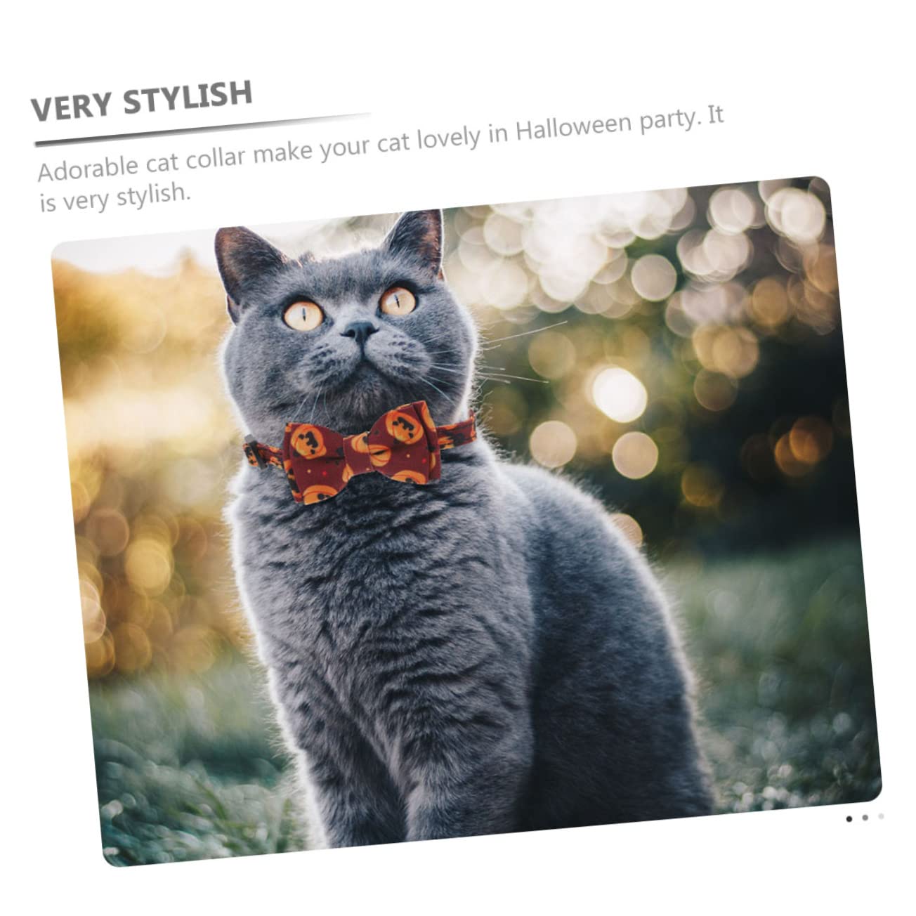 POPETPOP 6stücke Verstellbare Halloween Katzenhalsbänder Mit Glöckchen Niedliches Für Haustiere Für Partys Halloween Und Besondere Anlässe Geeignet Für Kätzchen Und Kleine Katzen