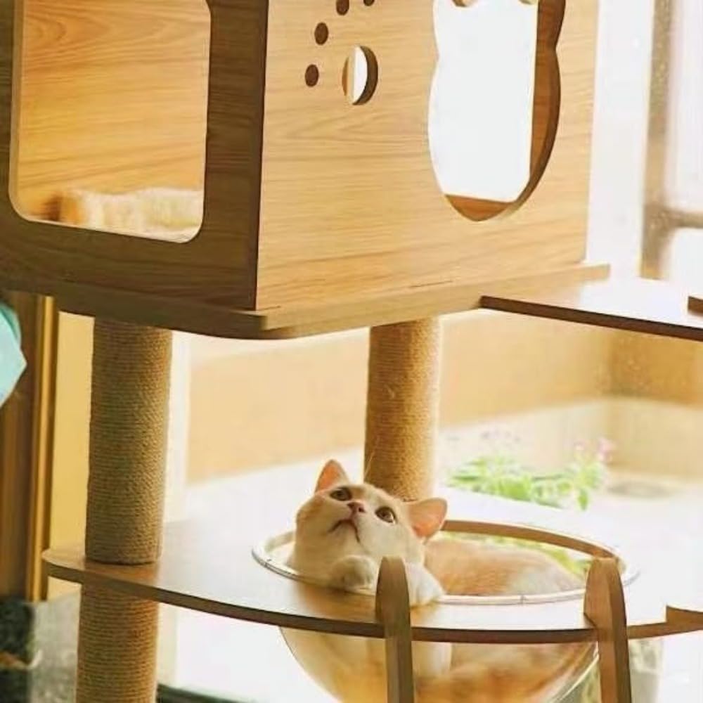 Amazon | 「FLYKING」猫タワー キャットタワー 爪研ぎ 透明宇宙船 頑丈