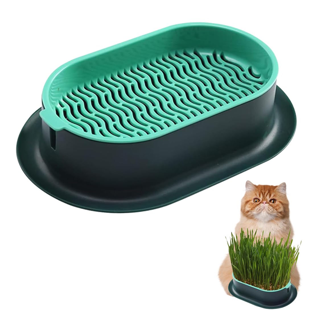 HONGECB Maceta para Hierba Gatera Caja De Hierba para Gatos Caja Hierba Gatera para Gatos Germinador con Hierba Gatera Jardinera De Hierba para Gatos Bandeja De Cultivo De Germinación, Verde