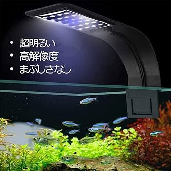 専用LED3wライト2白1青20個　観賞、植物、水槽など多用 専用LED3wライト2白1青20個 観賞、植物、水槽など多用 Amazon.co.