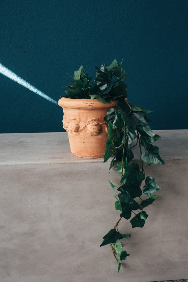 Set 2 Fioriere Terracotta Siena Conca Limoni - Ø48cm, Resistente Al GelO