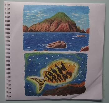 ナスdの大冒険　DVD 非売品　無人島2泊3日 ナスD無人島2泊3日0円生活】ホントに届いた！0円DVD☆自腹