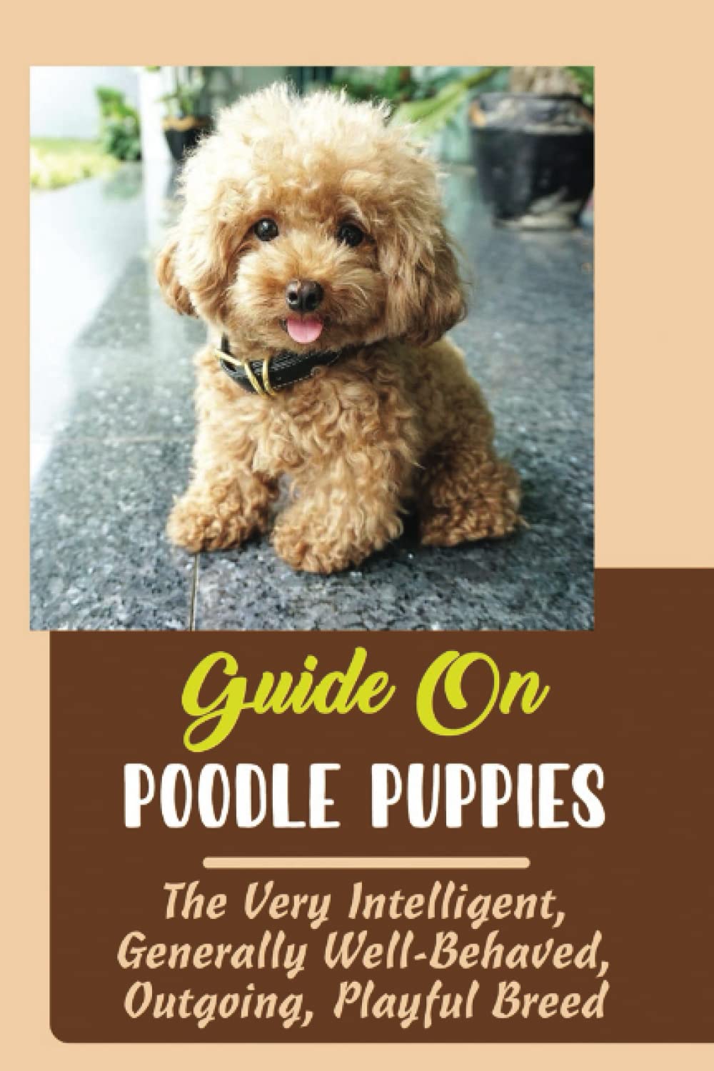 Guide On Poodle Puppies: The Very Intelligent, Generally Well-Behaved, Outgoing, Playful Breed