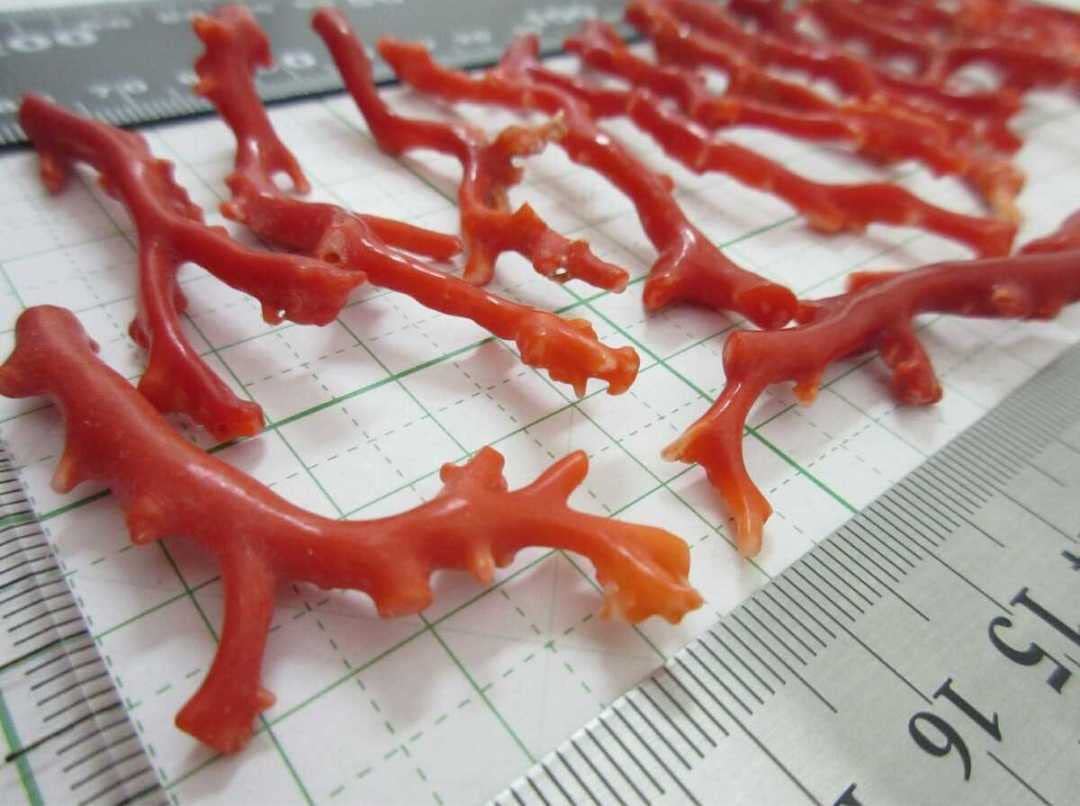 珊瑚ルース Amazon.co.jp: 血赤珊瑚サンゴ42.2g枝ルースセット根付x702. 303