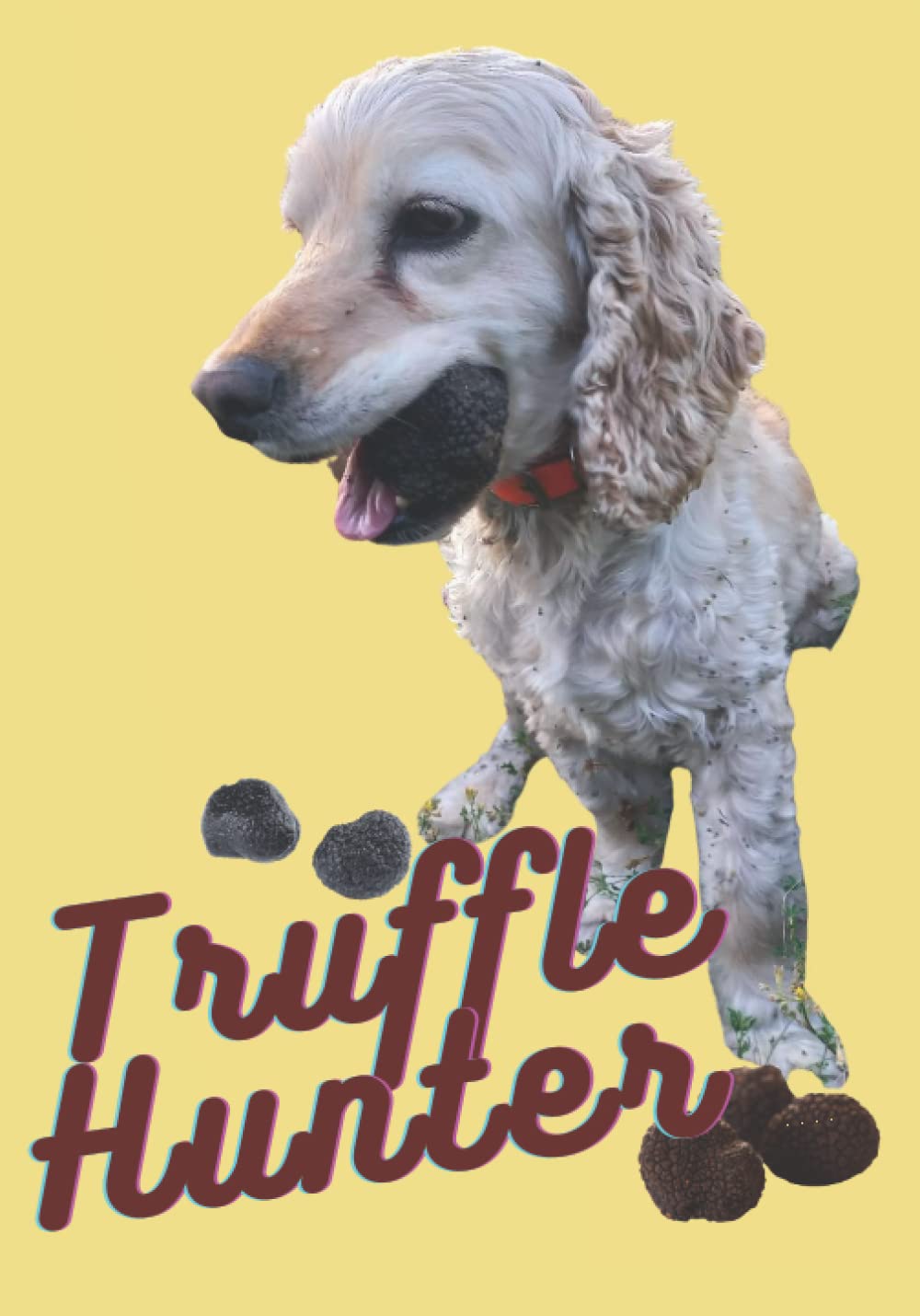 TRUFFLE HUNTER TRAINING PLANNER: Successful Hunting Accessory!