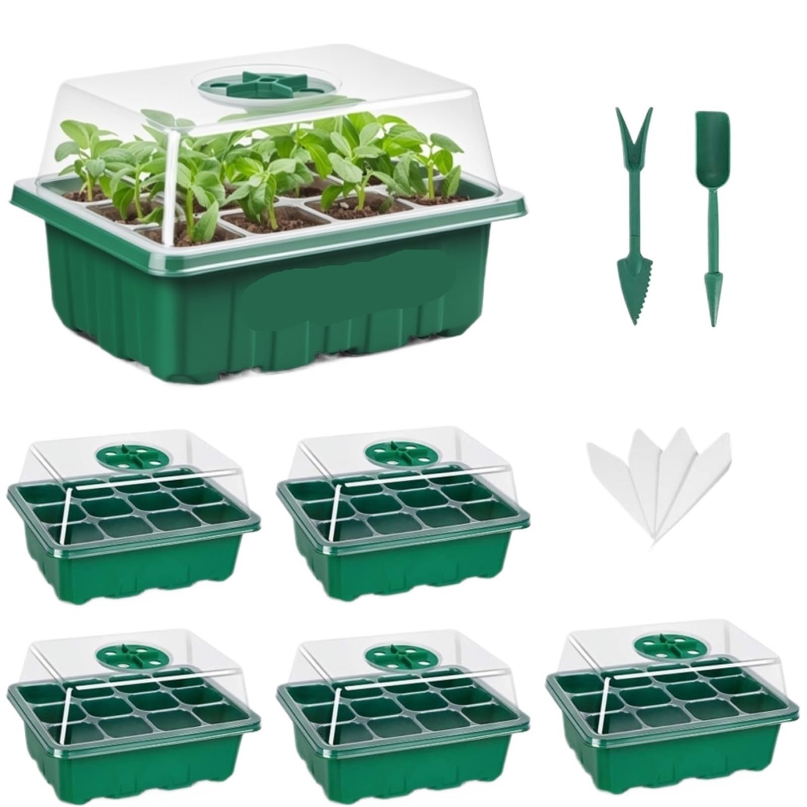 Vassoio germinazione Vassoio for semi con foro di ventilazione 12 griglie Semi in crescita Coltivazione Scatola for piantare Mini kit for piante in serra per Piante(Green-5 Pack)