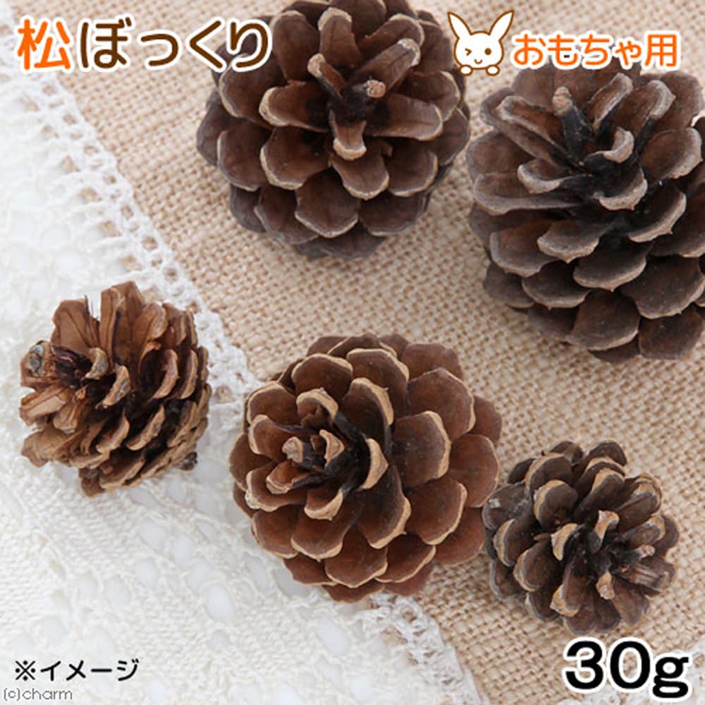 Amazon | 国産 松ぼっくり 30g 小動物のおもちゃ パインコーン 国産