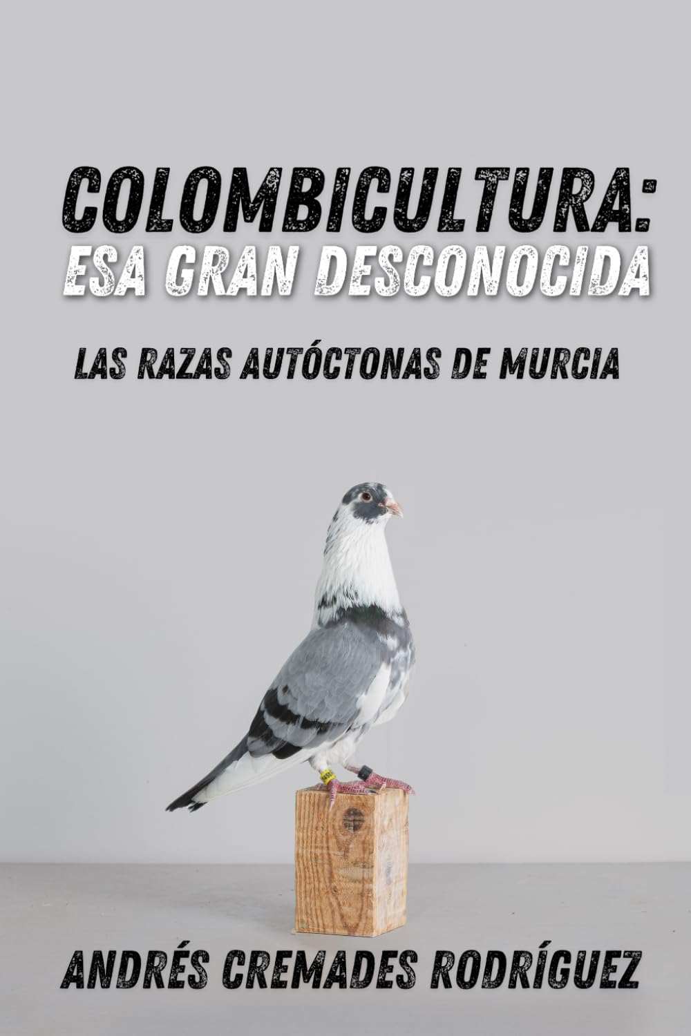 Colombicultura: esa gran desconocida: Las razas autóctonas de Murcia