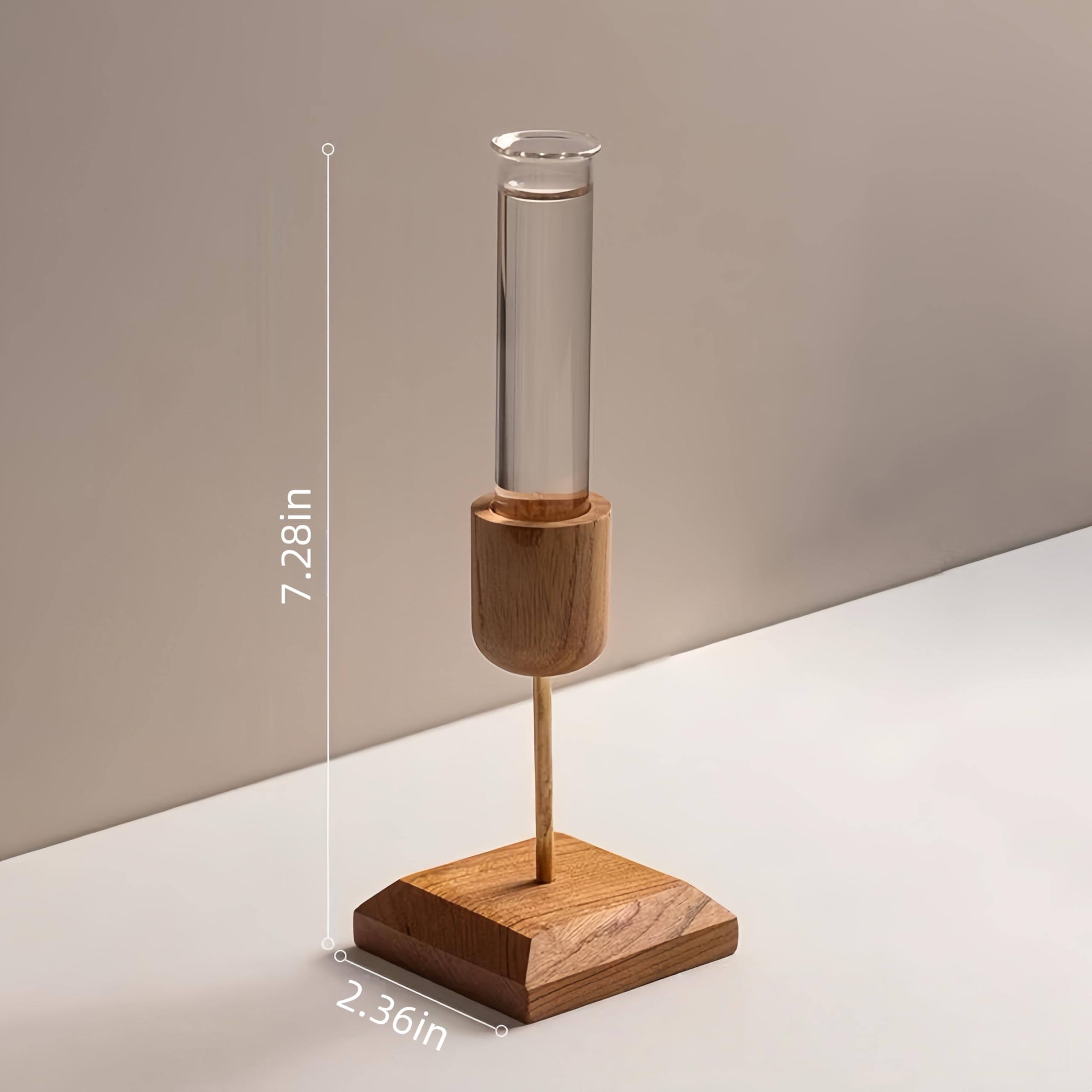 2 Stück Pflanzen-Anzuchtstation, Desktop-Reagenzglas-Vase, geeignet für Hydrokulturpflanzen, Gartengeschenke für Frauen, Geburtstagsgeschenke für Pflanzenliebhaber