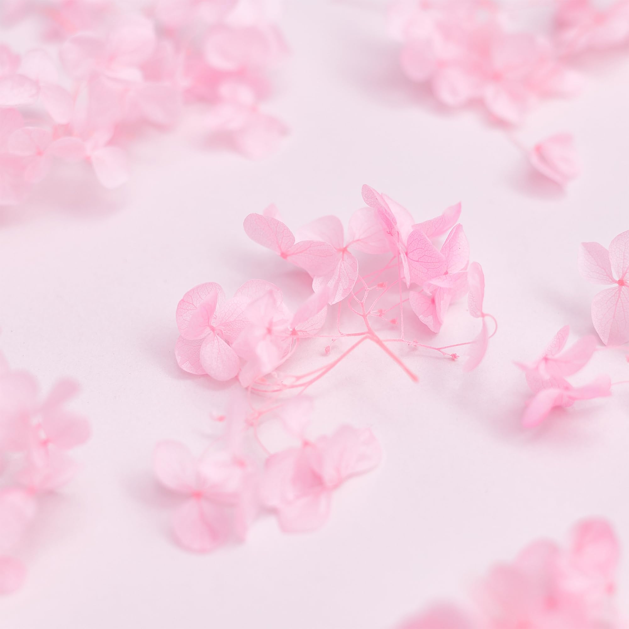 The Baked Studio - Original Dried Flower Hydrangea Set For Cake & Cupcake Decorating & Others Crafts (Bright Pink) - Image 4