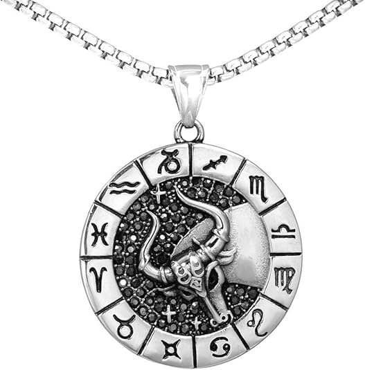 Men's Women's Stainless Steel Micro Pave CZ Creative 12 Constellations Signet Zodiac Pendant Necklace Horoscope Jewelry
