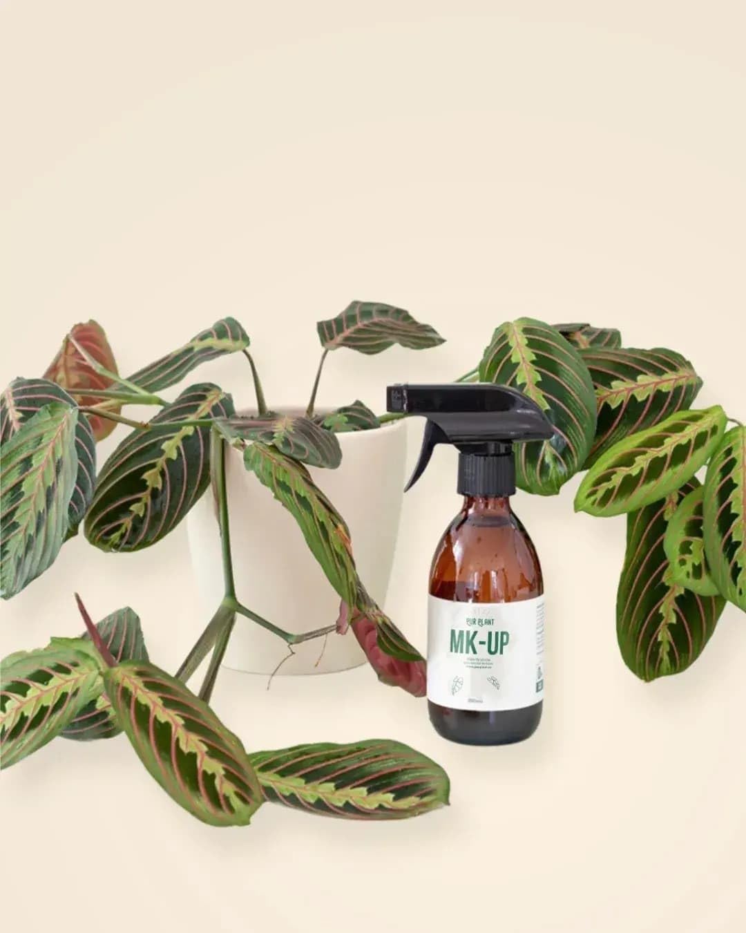 PUR PLANT Make Up 250 ml | Limpia Hojas y Bioprotector Natural | Brillo y Protección contra Plagas | Hecho en España