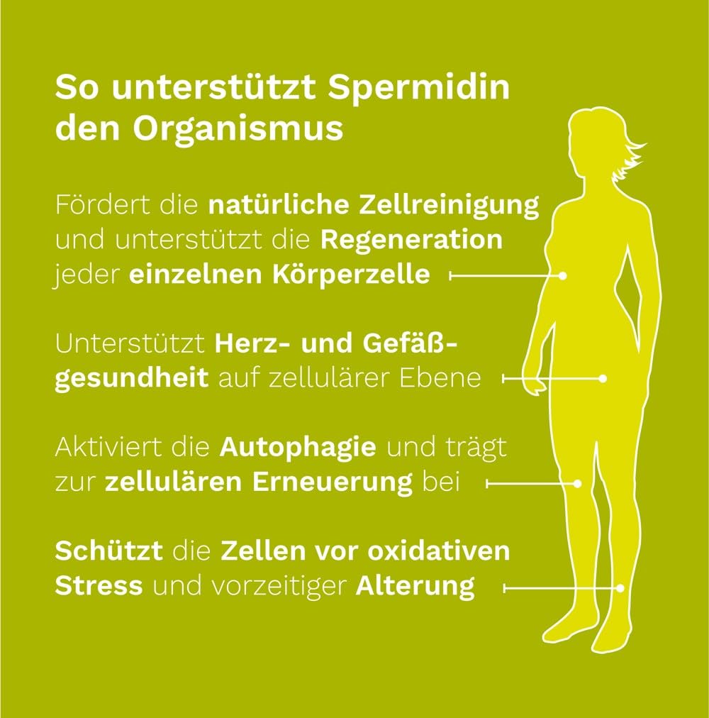 Dr. Koll Bio Chlorella Tabletten – Natürliches Nahrungsergänzungsmittel 100% Chlorella vulgaris | Hochdosiertes Vitamin B12 Supplement | 334 Tabletten Made in Germany