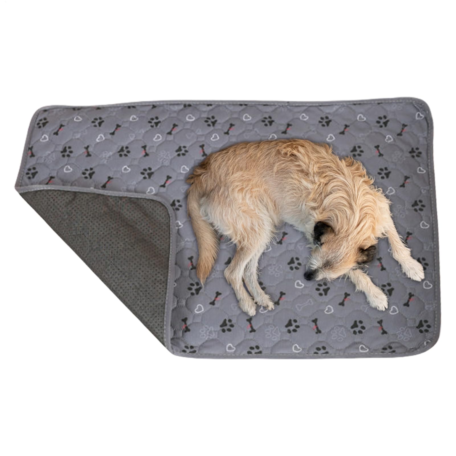 Tapis d'entraînement pour chien absorbant idéal pour les voyages en voiture