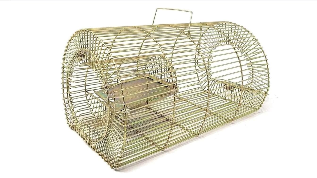 Starling Home Decor Mouse/Rat Trap for catching Small & Large Size Rats, Chuha Pinjara, Iron cage, Rat cage, Rat tra cage for use in House, Warehouses, Food Units, Hotel etc (Big Trap)-image-45